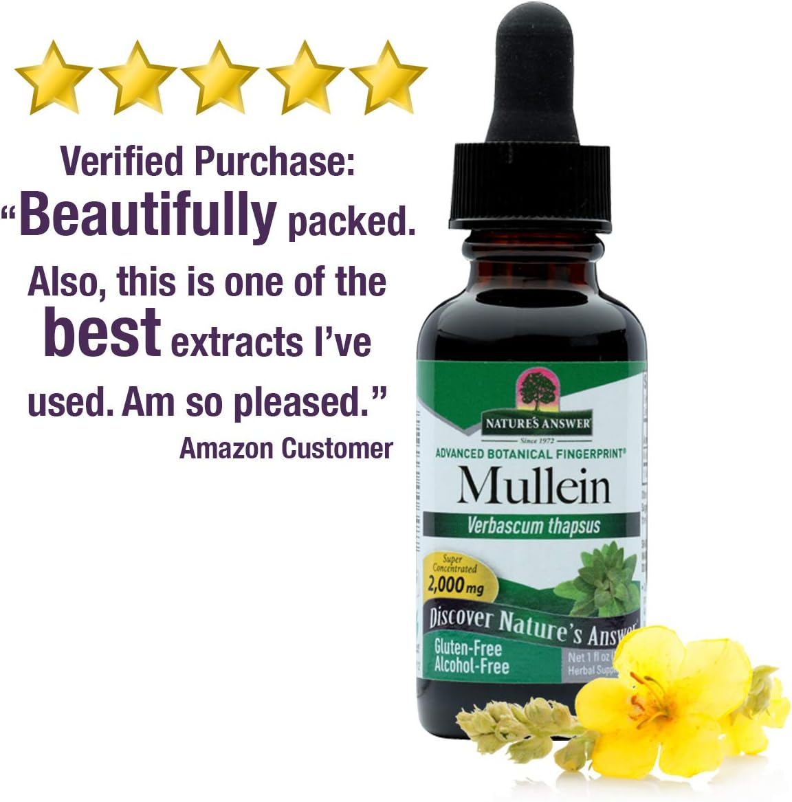 Natures Answer - Mullein Leaf - 30ml, Cranberry, 30 ml (Pack of 1) - Image 5