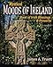 Mystical Moods of Ireland, Vol. V: Book of Irish Blessings & Proverbs (Volume 5) by 