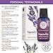Woolzies Lavender Essential Oil - Aromatherapy Essential Oils for Diffuser and Topical Use | 100% Pure Therapeutic Grade Lavendar | 4 Fl Oz