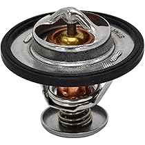 Amazon.com: Disenparts 121850-49800 Thermostat 12185049800 