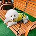 Siray World Cup FIFA Brazil National Soccer Team Pet Jersey Dogs Costume Football T-Shirt Dog Clothes