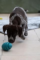 Petface Little Petface Rubber Rugby Treat Ball Dog Toy view 5