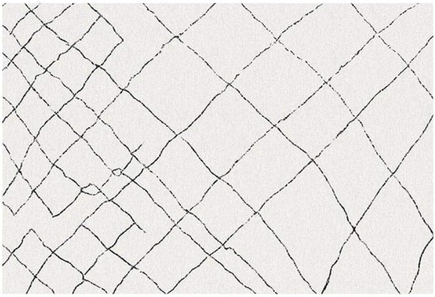 Moroccan Nordic Carpet Livingroom Home Simple Bedroom Carpet Sofa Coffee Table Rug Study Room Floor Mat Geometric Area Rugs White line geometry 160X230CM