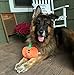 Midlee Pumpkin Smiley Face Halloween Dog Toy