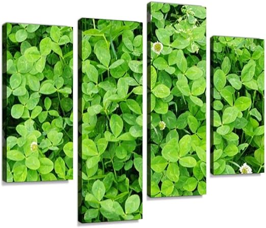 Amazon アートパネル 葉草 三つ葉 葉っぱ 葉 Grass Leafインテリア 絵画 壁掛け ポスター キャンバス 部屋飾り アート 壁キャンバス 壁飾り 壁キャンバス絵画 おしゃれ 北欧 新築飾り お祝い 贈り物 ウォールステッカー オンライン通販