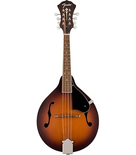 Epiphone エピフォン フラットマンドリン MM-30 希少 ケース付 希少