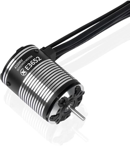Amazon.com: HOBBYWING EZRUN 3665 SD G3 Motor (EZRUN 3665SD-2400KV