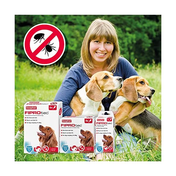 Beaphar-Fiprotec-Spot-On-Medium-Dog-6-Pipettes Beaphar | FIPROtec Spot-On for Medium Dogs (10– 20kg) | Kills Fleas & Ticks | Vet Strength Treatment | 6 Pipettes