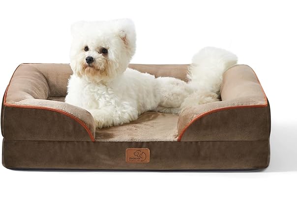 dog chairs and sofas