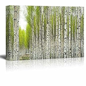 Birch Trees with Fresh Green Leaves in Spring Wall Decor
