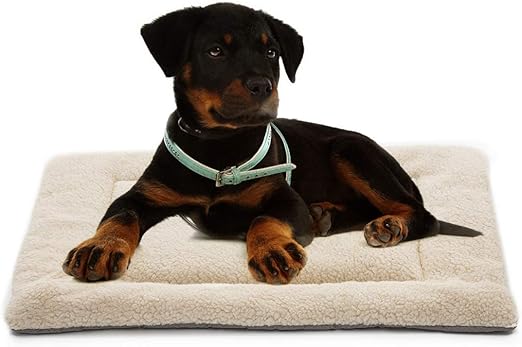 invenho pet nail grinder