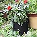 MELONFARM 5-Pack 2 Gallon Grow Bags Heavy Duty Thickened Non-Woven Plant Fabric Pots with Handles