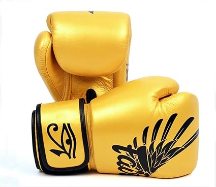 fairtex falcon gloves