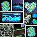 KAPIA 200 Pcs Colorful Glowing Garden Pebbles, Glow in the Dark Decorative Stone for Walkways Decor, Luminous Stones for Plants Pot, Fish Tank etc,Colorful Luminous Plastic Pebbles (Colorful)