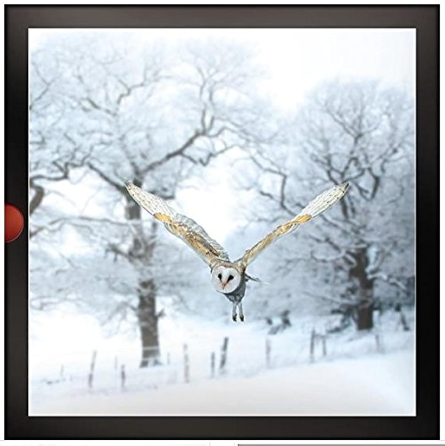 Photographic Christmas Cards (PH-XLDB0054) - Flying Through The Snow - From The Dark Room Range - Box of 16 Cards - Photographic With A Glitter Finish