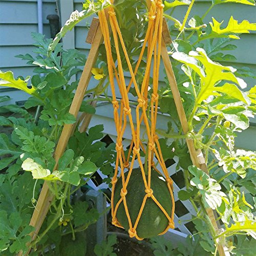 image for Bootstrap Farmer Melon Hammocks - 25 pack Cradles - Nets for Melons, P