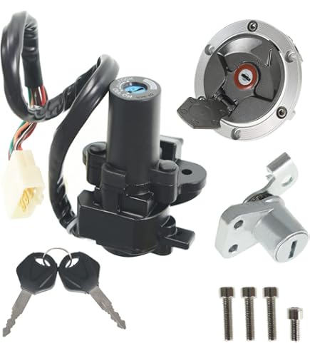 Amazon.com: Lirun Motorcycle Electrical Switch with Gas Cap, Motor