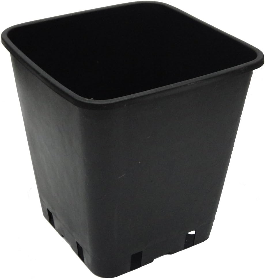 Trade Garden Supplies Square Plant Pot, 11 liters, Black, 23x23x38 cm