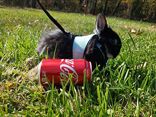 4 MEWTOGO+Adjustable+Breathable+Bunny+Harness