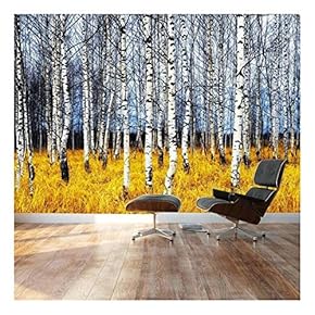 Beautiful Aspen Trees Fall Colors Landscape Wall Mural
