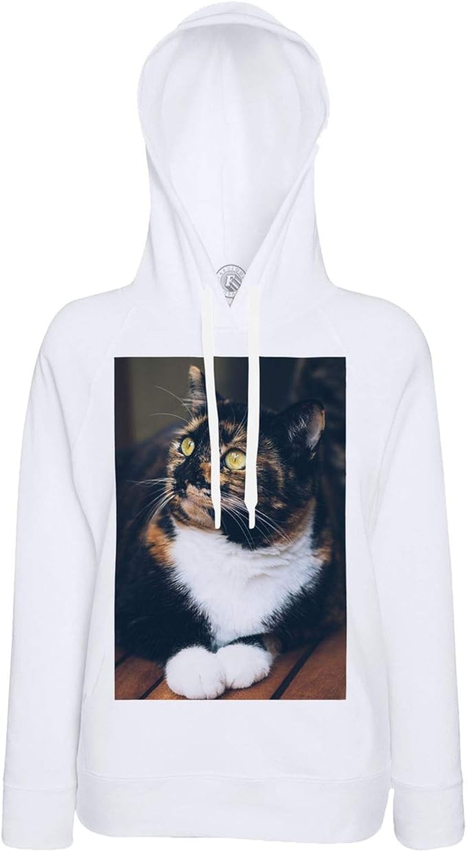 Hoodies Superb Photo Cat Calico Domestic Animal Cute Pet Fabulous