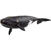 Schleich Wild Life - North Atlantic Right Whale - Kids Ages 3+ | 14878 | Wild Animal Figurine, Realistic Animal Toys, Safari Toy for Boys and Girls, Screen-Free Imaginative Pretend Play, Montessori