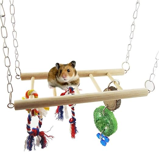 hamster kingdom