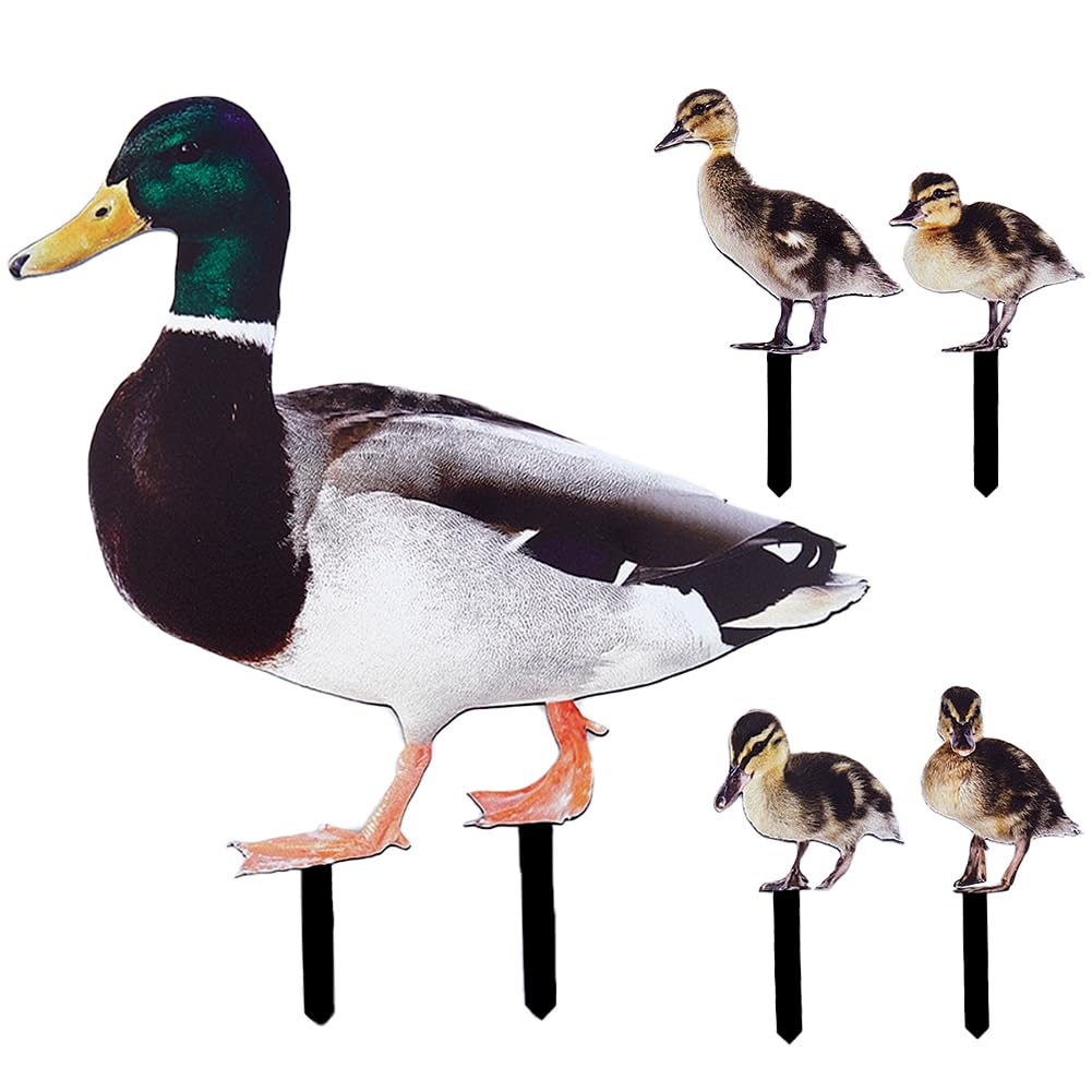 CREATCABIN 5Pcs Duck Ground Insert Decorations Acrylic Garden Stake Double Sided Printing Statue Outdoor Stakes Animal Sculpture Sign Yard Art Decor Plug Ornament for Farmhouse Garden Lawn Outdoor