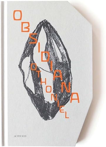 Download Obsidiana : Othoniel PDF