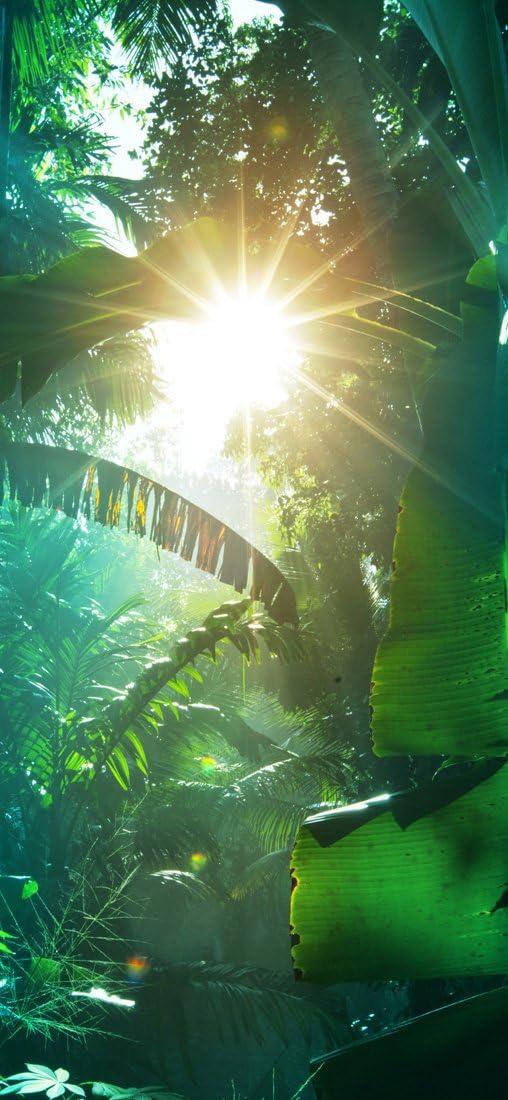 PeelitStickit Jungle Forest Wallpaper Design, Wall Mural ID-018, vinyl, Multi-colour