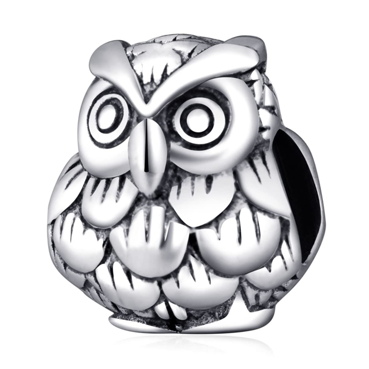 Wise Owl Nighthawk Charm, Fit Pandora Animal Halloween Bracelet, 925 Sterling Silver Bird of Night Beads, Gift for Boyfriend/BFF/Girlfriend/Graduation