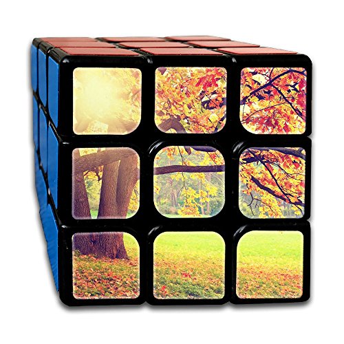Aijunxia Autumn Landscape 3x3x3 Speed Cube Smooth Magic Cube Puzzles Easy Turning And Smooth Play
