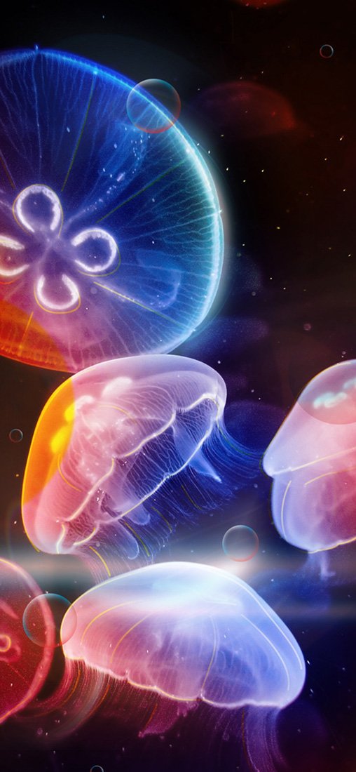 PeelitStickit Underwater, Undersea Wall Murals, ID-027, vinyl