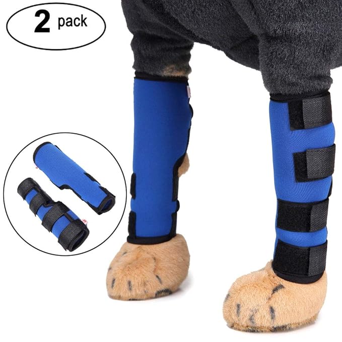 Zunea 2Stück Hund Hunde hinten Bein Hock Bandage Hinterbein schützt