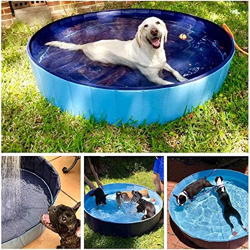 大型犬用ドッグプール 折り畳み式ペットプール 子犬犬猫と子供のためのポータブル折りたたみキディプール Color Blue Size M B087qkqsds 4 449円 人気海外一番 100 品質保証 全品送料無料 即日出荷 Sale開催中 大型犬用ドッグプール 折り畳み式ペットプール 子犬犬猫と子供のためのポータブル折りたたみキディプール Color Blue Size M B087qkqsds 4 449円 人気海外一番 100 品質保証 全品送料無料 即日出荷 Sale開催中