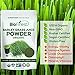 Biofinest Barley Grass Juice Powder - 100% Pure Freeze-Dried Antioxidant Superfood - USDA Organic Vegan Raw Non-GMO - Boost Energy & Immunity - for Smoothie Beverage Blend (4 oz Resealable Bag)