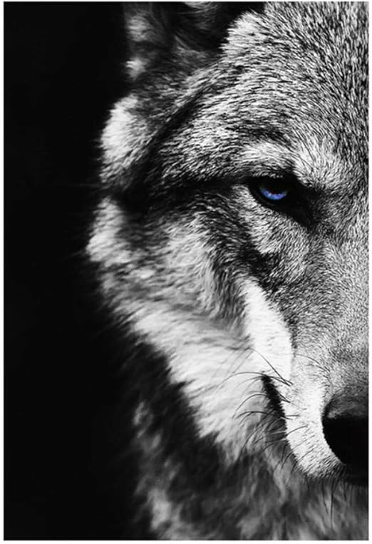 Zqfhb Posters Cartel de Lobo Blanco y Negro , Arte Animal Posters Pared
