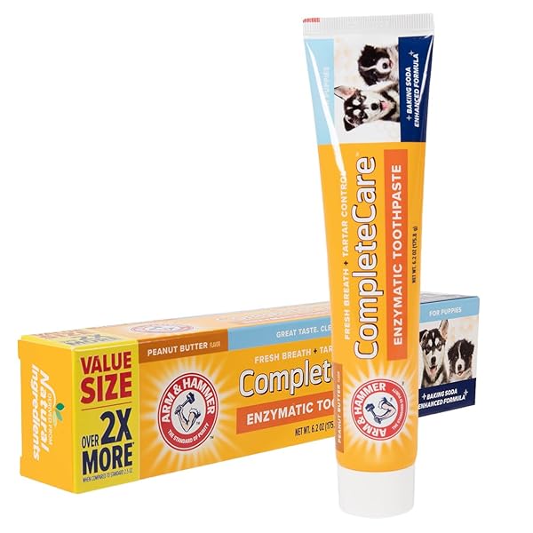 ARM & HAMMER COMPLETE CARE ENZYMATIC DOG TOOTHPASTE VALUE SIZE | 6.2 OZ PEANUT BUTTER FLAVOR ENZYMATIC DOG TOOTHPASTE FOR PUPPIES | GREAT TASTING DOG TOOTHPASTE WITH ARM & HAMMER BAKING SODA