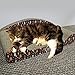 Evelots Kitty Cat Scratcher-Lounger-Groom Claws-Corrugated Cardboard Couch