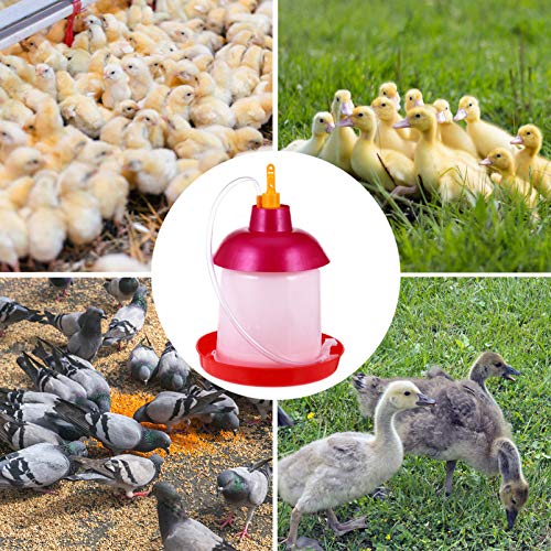 Cabilock Geflügel Wasser Fütterung Gerät Hochleistungshähnchen Hühnerfütterungsglas Geflügel Huhn Wasserkrug Wassersystem Für Geflügel Hühnerwassertrinker Gleiten Trinkbecher Vögel Plastik – Bild 4