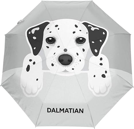 dog umbrella for sun