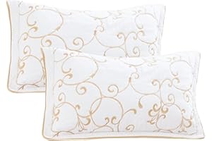 Lady Ann Cotton Quilted Pillow Shams 20x30, Embroidery Pattern Printed Pillow Cases Queen Size Set of 2, Decorative Soft & Cozy Pillow Covers for Bed