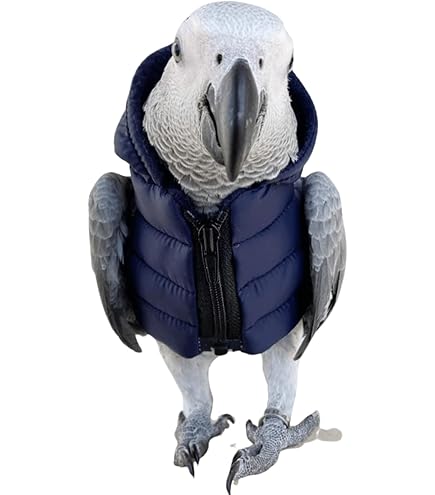 Halloween Pet Bird Costume: Adorable Parrot Clothes For Parakeets, Cockatiels & More! Shop Now For A Fun Look! From Dog Costumes - Price 9.75