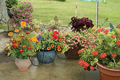 Raindrip R560DP Automatic Container and Hanging Baskets Kit (Certified Refurbished)