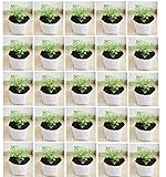 Evergreen UV Treated Poly Grow Bags (White Outside, Black Inside - 20 Bags)