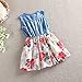 Niyage Girls Princess Dress Sleeveless Denim Tops Floral Tutu Skirts 4T White