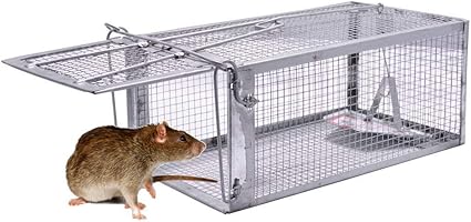 Quality Rat Trap Humane Live Animal Mouse Cage Traps Catch And Release Mice Rats Chipmunk Pests Rodents And Similar Sized Pests For Indoor And Outdoor 10 6 X 5 63 X 4 33 Inches One Door