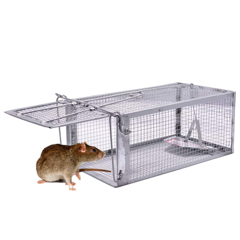 Quality Rat Trap, Humane Live Animal Mouse Cage Traps, Catch and Release Mice, Rats,Chipmunk, Pests, Rodents and Similar Sized Pests for Indoor and Outdoor, 10.6 X 5.63 X 4.33 Inches, One-Door