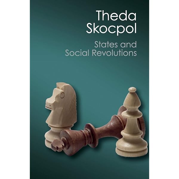 Amazon.com: Bringing the State Back In (Volume 0): 9780521313131