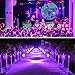 Par Lights, SOLMORE DMX-512 RGB 18 LED Party Lights DJ Disco Lights Sound Activated Stage Lighting for Wedding KTV Show Club Bar Karaoke 18W
